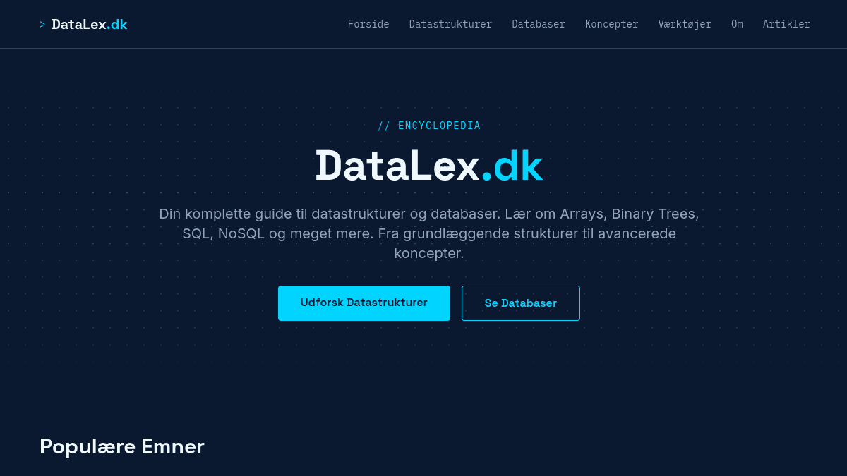 Screenshot af DataLex